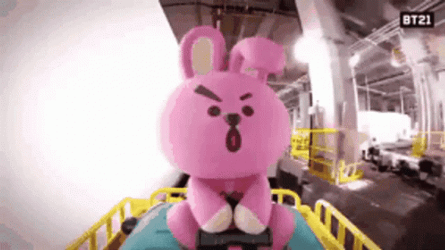 BT21 Cooky Enjoying The Roller Coaster Ride GIF