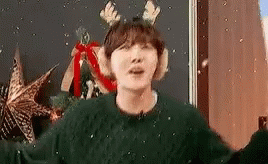 Bts Jhope Dancing Reindeer Snowing GIF