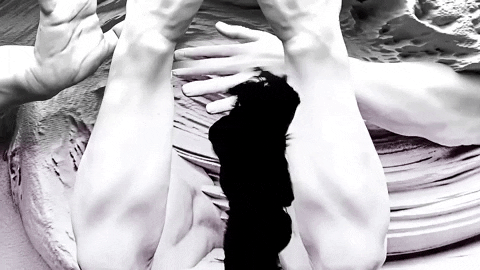 Bts Park Jimin Fake Love Dance GIF