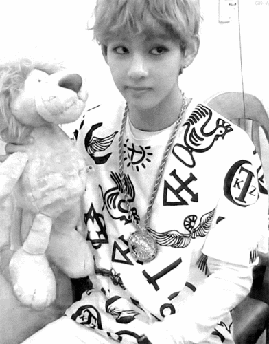 Bts V Kim Taehyung Stuff Toy GIF