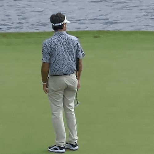 Bubba Watson Celebrating In Golf Course GIF