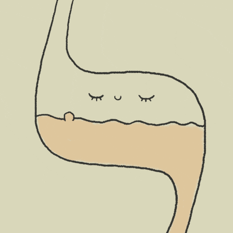 Bubble Guts Cartoon Stomach GIF