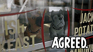 Bubble Head Dog Approval GIF