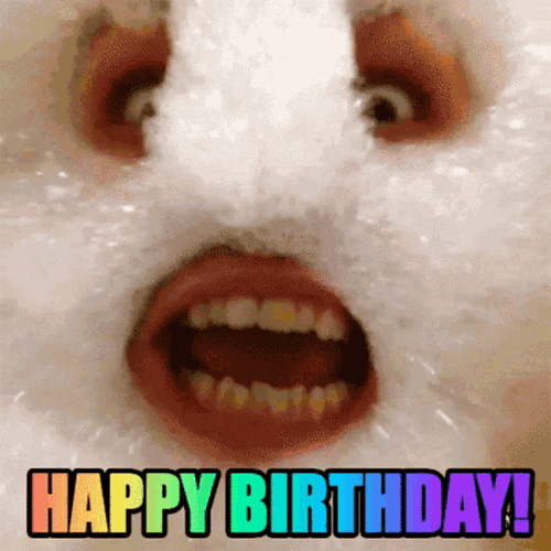 Funny Happy Birthday GIFs GIFDB