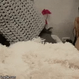 Bubbles Powerpuff Girls Crying GIF
