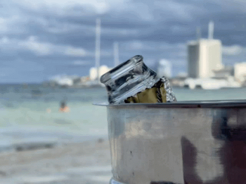 Bucket Of Ice With Bottle GIF