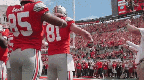 Buckeye Football Gif GIF