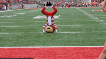 Buckeyes Brutus Dance Tricks GIF