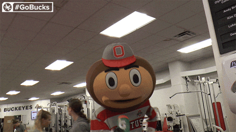Buckeyes Brutus Drinks Soda GIF