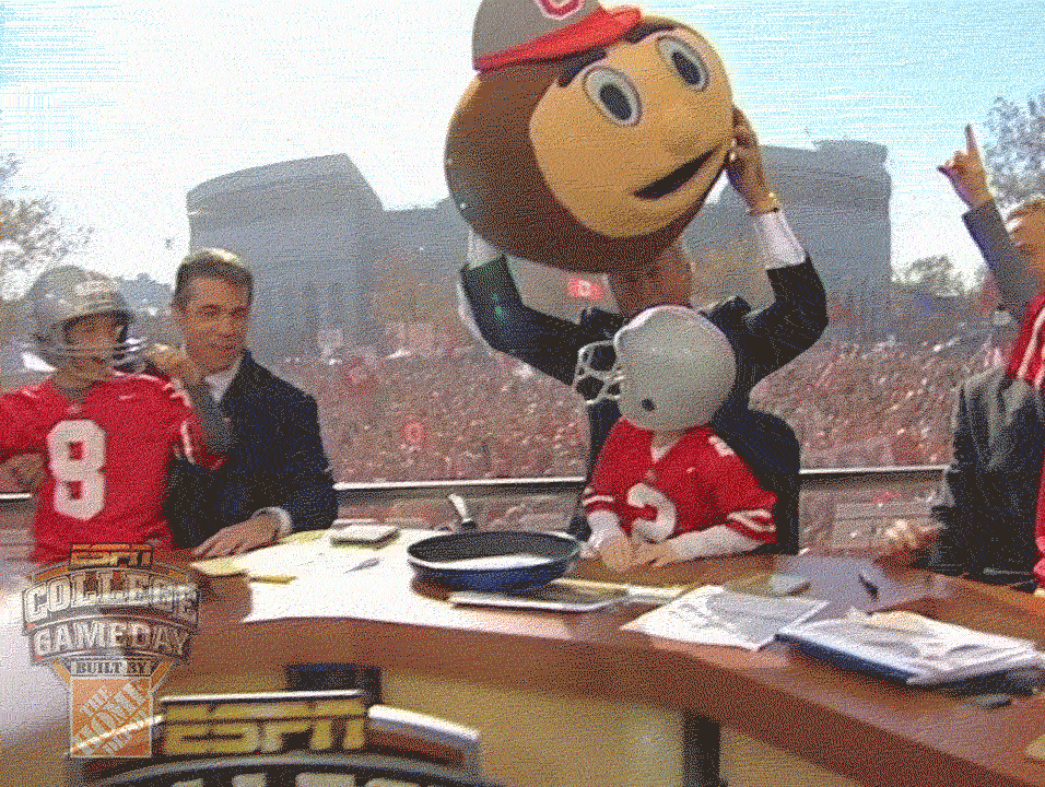 Buckeyes Mascot Wears It GIF