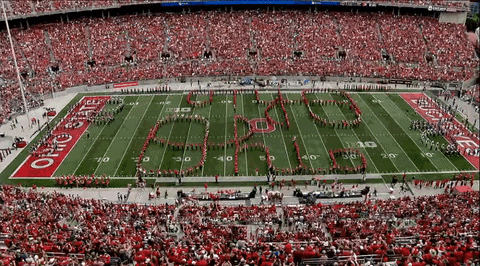 Buckeyes Ohio State Field GIF