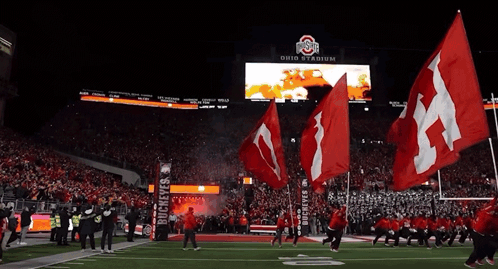 Buckeyes Players Running on Field