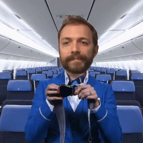 Buckle Up In Plane GIF