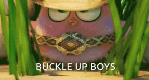 Buckle Up Boys Cute Angry Birds GIF