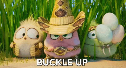 Buckle Up Angry Birds GIF