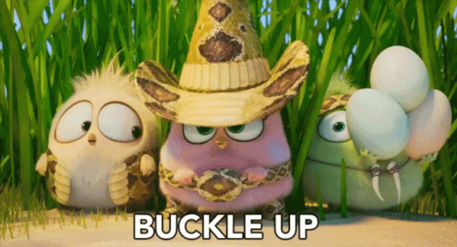 Buckle Up Angry Birds GIF