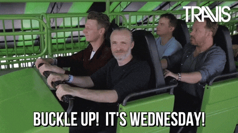 Buckle Up Because It's Hilarious Wednesday GIF