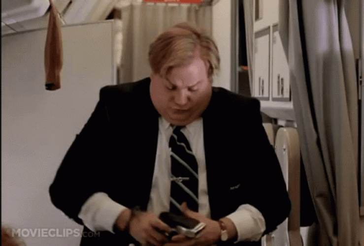 Buckle Up Fat Man GIF