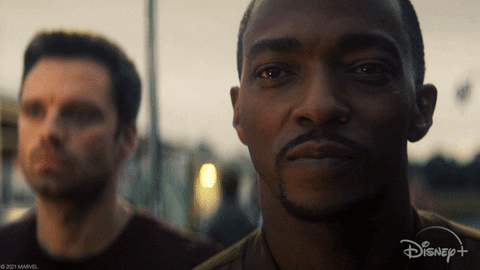 Bucky Barnes Winter Soldier Falcon Smile GIF