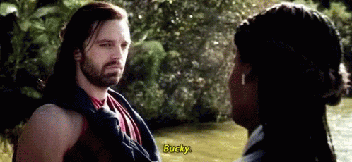 Bucky Introducing Himself At A River GIF