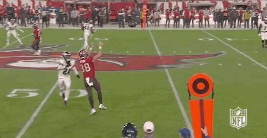 Bucs Player Catch The Ball GIF