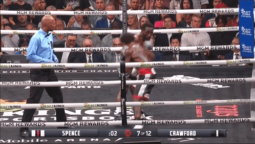 Bud Crawford Beat Up Errol Spence Jr. GIF