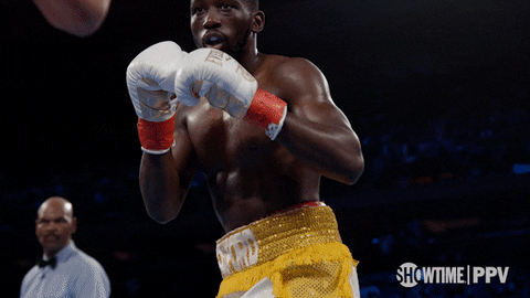 Bud Crawford Fight GIF