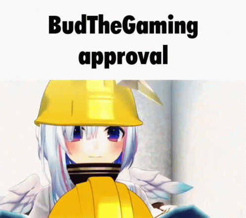 Bud The Gaming Approval GIF