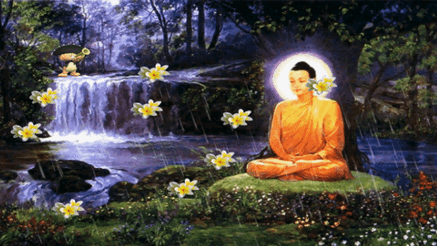 Buddha Nature Sitting On Falls GIF