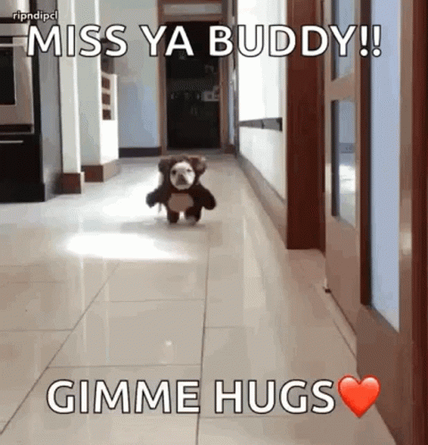 Buddy Bear Running GIF