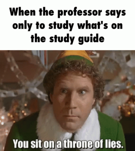Buddy The Elf Throne Of Lies Meme GIF