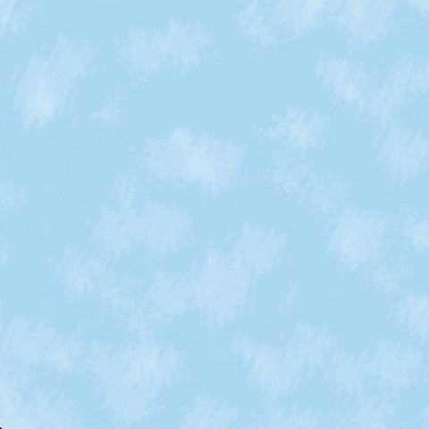 Budget Must Be Congress' Concern GIF