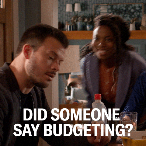 Budget Topic Reactivate Sasheer Zamata GIF