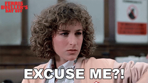 Bueller Movie Jennifer Grey Excuse Me GIF