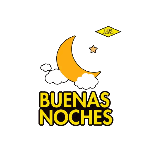 Buena Noche Moon and Stars Logo