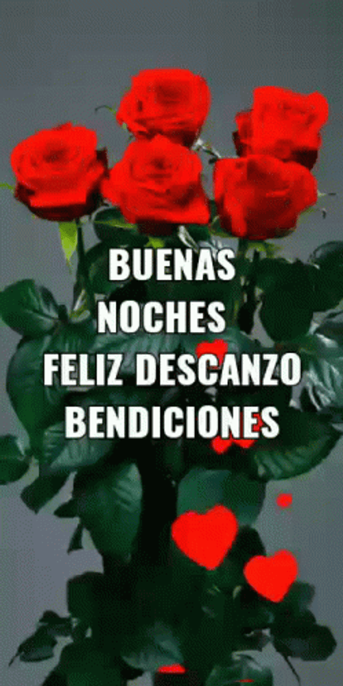 Buenas Noches Bendiciones GIF