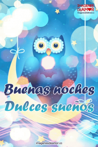 Buenas Noches Buho 331 X 498 Gif GIF
