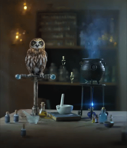 Buenas Noches Buho 427 X 498 Gif GIF