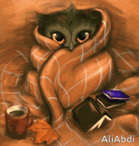 Buenas Noches Buho 473 X 498 Gif GIF