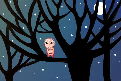 Buenas Noches Buho 480 X 322 Gif GIF