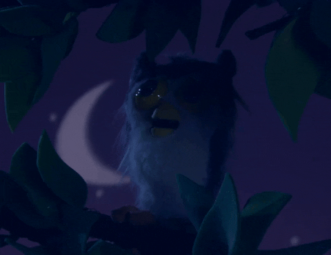 Buenas Noches Buho 480 X 370 Gif GIF