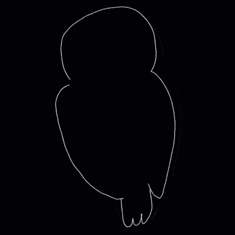 Buenas Noches Buho 480 X 480 Gif GIF
