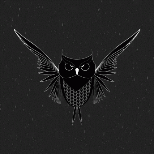 Buenas Noches Buho 498 X 498 Gif GIF