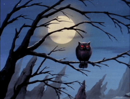 Buenas Noches Buho 500 X 382 Gif GIF