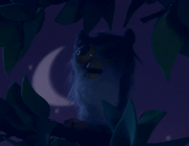 Buenas Noches Buho GIF