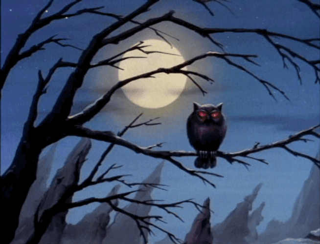 Buenas Noches Buho GIF