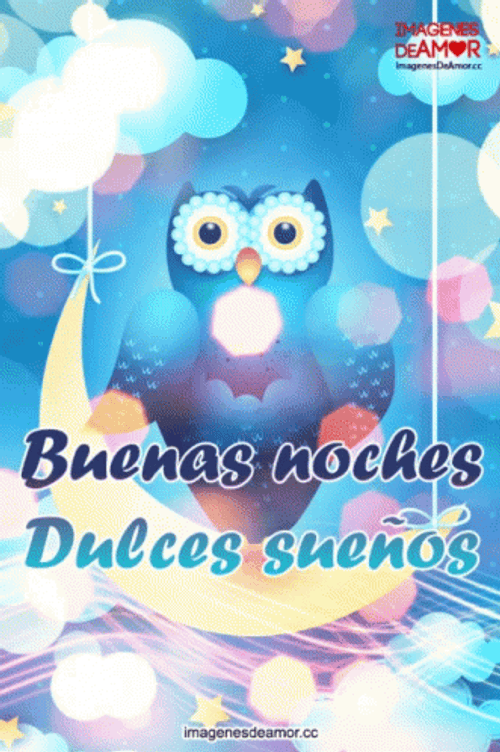 Buenas Noches Buho GIF