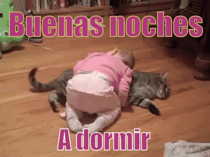 Buenas Noches Con Frio GIF