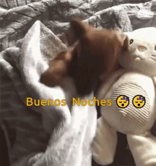 Buenas Noches Con Frio GIF