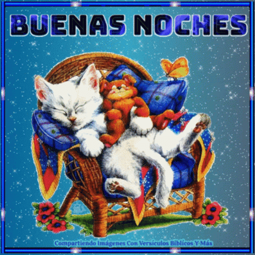 Buenas Noches Con Frio GIF
